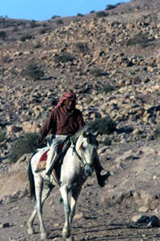 Cavalier B&eacute;douin &agrave; cheval en Jordanie - Randonn&eacute;e &agrave; cheval en Jordanie - D&eacute;couverte du Wadi Rum - S Loyd -  Randocheval