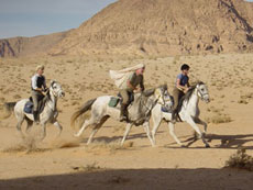 Au galop en randonn&eacute;e &agrave; cheval en Jordanie - D&eacute;couverte du Wadi Rum - Randocheval