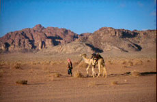 B&eacute;douin en Jordanie - En randonn&eacute;e &eacute;questre dans le  D&eacute;sert du Wadi Rum - D&eacute;couverte du Wadi Rum - Randocheval
