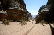 Randonn&eacute;e en Jordanie- Randocheval