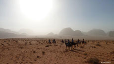Horse riding in Jordan - Discover Wadi Rum - Randocheval