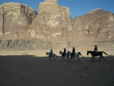 Horse riding in Jordan - Discover Wadi Rum - Randocheval