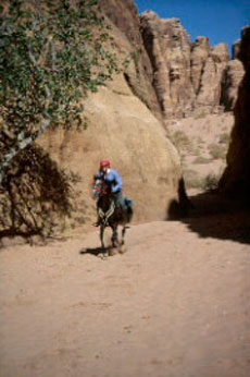 Au milieu d'un canyon du d&eacute;sert du Wadi Rum au cours d'une randonn&eacute;e &agrave; cheval en Jordanie - D&eacute;couverte du Wadi Rum  - Randocheval