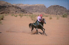 Lanc&eacute; au grand galop dans le d&eacute;sert de Wadi Rum en randonn&eacute;e &eacute;questre en Jordanie - D&eacute;couverte du Wadi Rum - Randocheval