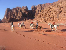 Horseback trails in Jordania - Randocheval
