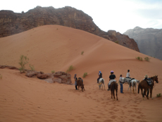 Horse riding in Jordan - Discover Wadi Rum - Randocheval