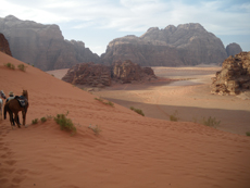 Horse riding in Jordan - Discover Wadi Rum - Randocheval