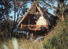 Ngong House, Lodge dans lequel vous passerez votre derni&egrave;re journ&eacute;e &agrave; Nairobi avant de reprendre l'avion - Randocheval