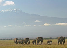 Randonnée équestre dans la réserve d'Amboseli - RANDOCHEVAL
