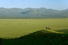 Safari &agrave; cheval dans les Chyulu Hills - Randocheval