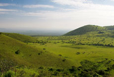 Paysage verdoyant des Chyulu Hills - RANDOCHEVAL