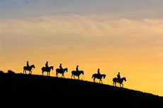 Safari à cheval dans les somptueux paysages africains - Rando Cheval