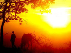Retour au camp au coucher du soleil - Rando Cheval