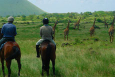 Safari équestre dans la réserve d'Amboseli