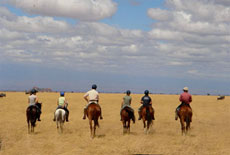 Traversée d'immensité de savane au pied du Kilimandjaro - Rando Cheval