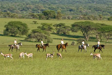 Découverte d'une zone malconnue du Kenya, les Chyulu Hills - Randocheval