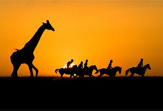 Coucher de soleil sur la savane et les cavaliers - Randocheval