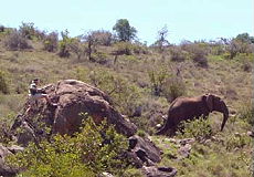 Safari &agrave; pied &agrave; La&iuml;kipia au Kenya - Randocheval / Absolu Voyage