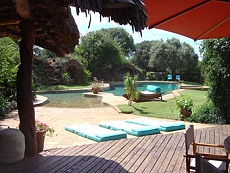 Horse trekking safari in Kenya