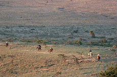 Album photos de notre randonnée - safari à cheval au Kenya sur le plateau de Laïkipia - Rando Cheval / Absolu Voyages