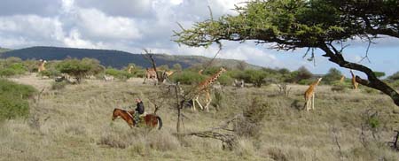 Album photos de notre randonnée - safari à cheval au Kenya sur le plateau de Laïkipia - Rando Cheval / Absolu Voyages