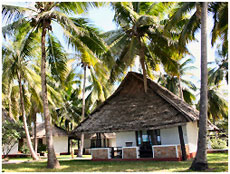 Karafuu Hotel is located on the East coast of Zanzibar island - RANDOCHEVAL
