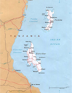 Extra 4 days 3 nights stay in Zanzibar after your horseback safari in Kenya - RANDOCHEVAL