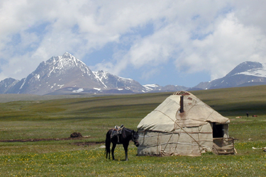 rando cheval kirghizie