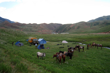 rando cheval kirghizie