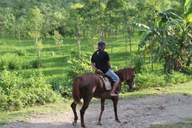 licence randocheval 2015