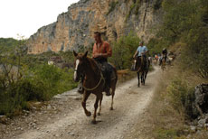 Trop et galop sur les chemins du Lot - Randocheval