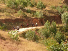 Randonn&eacute;e &eacute;questre &agrave; Madagascar - Randocheval