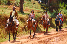 Randonn&eacute;e &eacute;questre &agrave; Madagascar - Randocheval