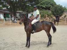 Randonn&eacute;e &eacute;questre &agrave; Madagascar - Randocheval