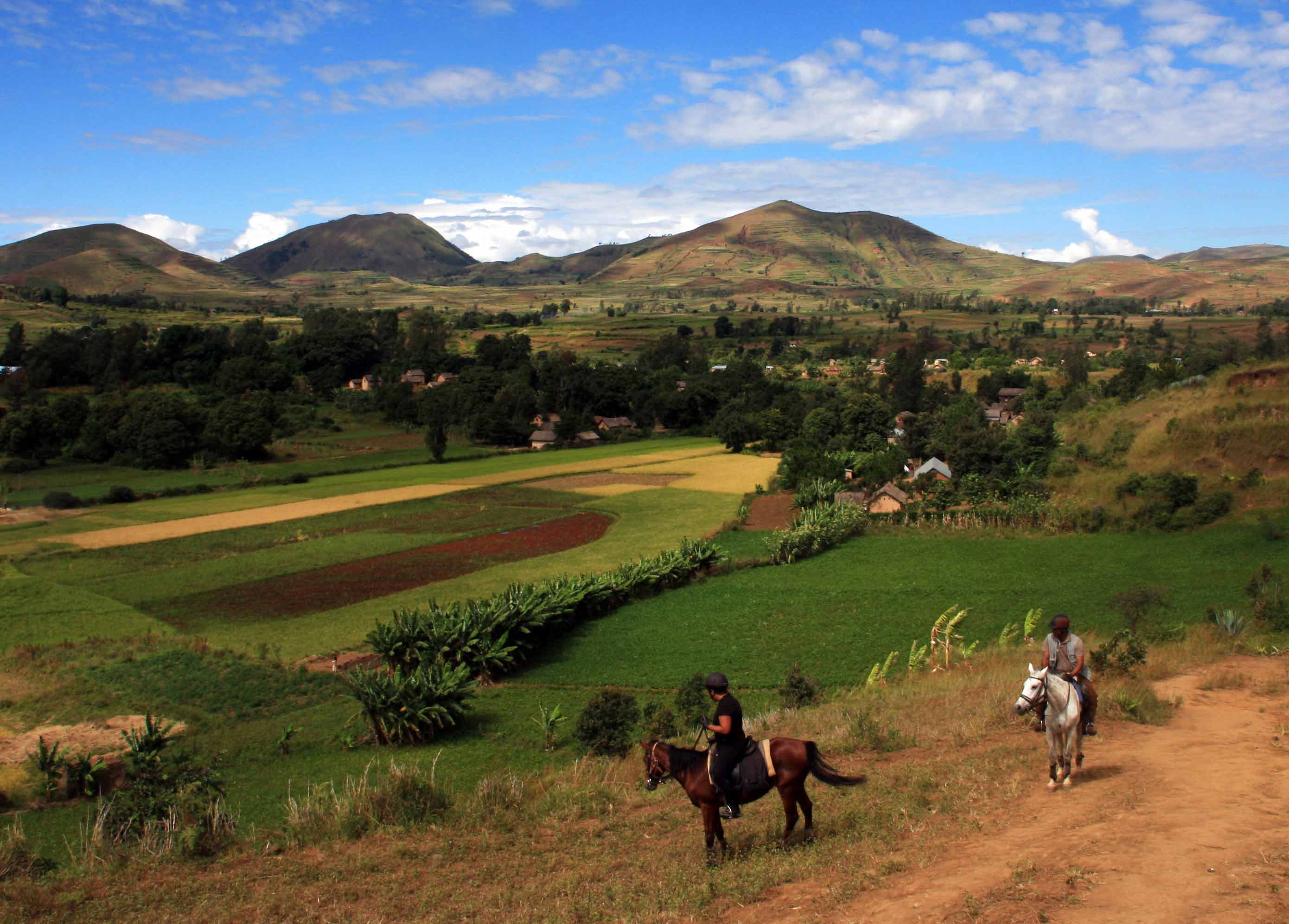 SAFARI A CHEVAL - Comentario choisir votre voyage - questre en Afrique (Afrique du Sud, Botswana SAFARI A CHEVAL - Comentario choisir votre voyage - questre en Afrique (Afrique du Sud, Botswana