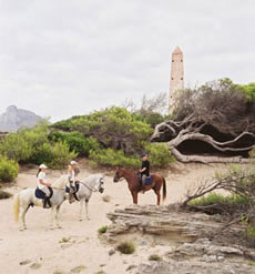S&eacute;jour &eacute;questre &agrave; Majorque - Bal&eacute;ares - Rando Cheval