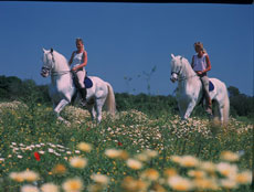 Randonn&eacute;e &agrave; cheval au coeur des collines du Levante &agrave; Majorque - Espagne - RANDOCHEVAL