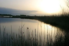 Natural Parc of Albufera - Majorca - Randocheval