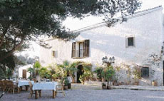 The Finca will welcome you in a quiet atmosphere - Randocheval / Absolu Voyages