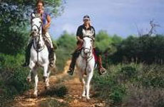 Horse riding trail in the Levante Hills - Randocheval