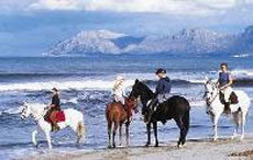 Beach rides during our stay in Majorca - Randocheval