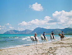 Horse riding stay in Majorca beauty - Randocheval