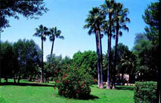 Property of the Finca - Randocheval