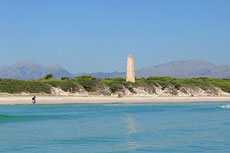 Horse riding holidays in Majorca - Rando Cheval