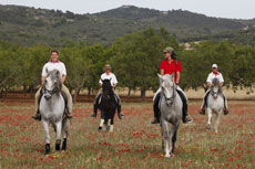Entr&eacute;e de Montission - Randonn&eacute;e route des Monast&egrave;res avec Randocheval
