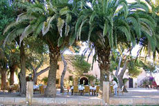 Relaxing and horse riding stay in the beautiful surrounding of the Finca - Randocheval