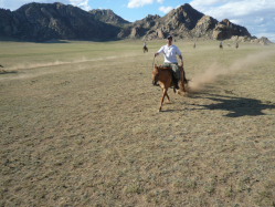 Photos de notre randonn&eacute;e &eacute;questre confort sous la yourte en Mongolie : Khustai et les chevaux de Przewalski, Khogno Khan, le Mini Gobi, la Vall&eacute;e de l'Orkhon, le lac d'Ogii, Karakorum... (Randocheval / Absolu Voyages)