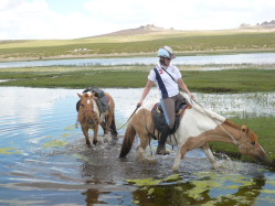 Photos de notre randonnée équestre confort sous la yourte en Mongolie : Khustai et les chevaux de Przewalski, Khogno Khan, le Mini Gobi, la Vallée de l'Orkhon, le lac d'Ogii, Karakorum... (Randocheval / Absolu Voyages)
