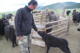 Photos de notre randonn&eacute;e &eacute;questre confort sous la yourte en Mongolie : Khustai et les chevaux de Przewalski, Khogno Khan, le Mini Gobi, la Vall&eacute;e de l'Orkhon, le lac d'Ogii, Karakorum... (Randocheval / Absolu Voyages)