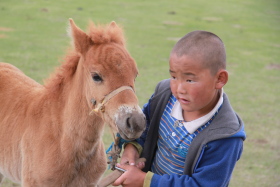 Photos de notre randonnée équestre confort sous la yourte en Mongolie : Khustai et les chevaux de Przewalski, Khogno Khan, le Mini Gobi, la Vallée de l'Orkhon, le lac d'Ogii, Karakorum... (Randocheval / Absolu Voyages)
